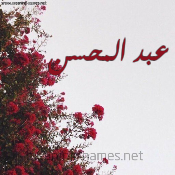 شكل 18 صوره الورد الأحمر للإسم بخط رقعة صورة اسم عبد المحسن Abdel-Mohsen